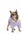 Толстовка Pet Fashion «Delicate» для собак, размер XS, лиловая