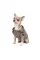 Жакет Pet Fashion «Harry» для собак, розмір М, коричневий