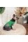 Костюм Pet Fashion «Aleks» для собак, размер S, зеленый