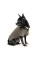 Вышиванка для собак Pet Fashion «Marco» XXS