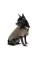 Вышиванка для собак Pet Fashion «Marco» XXS