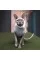 Светр Pet Fashion «Cat» для кота, розмір S, меланж