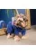 Дощовик Pet Fashion «Silver» для собак, розмір M, синій