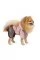 Дождевик Pet Fashion «Ariel» для девочки, размер L, розовый