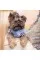 Бомбер Pet Fashion «Spike» для собак, размер XS, голубой