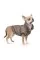 Жакет Pet Fashion «Harry» для собак, розмір М, коричневий