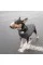 Жилет Pet Fashion «E.Vest» для собак, размер S, серый