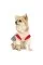 Костюм-сукня Pet Fashion «Space» для дівчаток, розмір XXS, бежевий