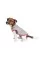 Жилет Pet Fashion «Fleecy» для собак, размер S, серо-красный