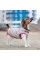 Жилет Pet Fashion «Fleecy» для собак, размер S, серо-красный