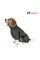 Комбинезон Pet Fashion «Cold» для собак, размер 6XL, серый