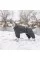 Комбинезон Pet Fashion «Cold» для собак, размер 6XL, серый