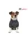 Дождевик Pet Fashion «Rain» для собак, размер SM, серый