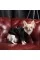 Толстовка Pet Fashion Ukraine для собак, розмір XS, чорна