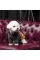 Толстовка Pet Fashion «Rollie» для собак, размер XXS, бежевая/серая (лимитированная серия)