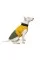 Попона Pet Fashion «Roy» для собак, розмір 7XL, хакі-гірчиця