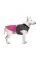 Попона Pet Fashion «Roy» для собак, розмір 7XL, малиново-сірий