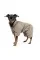 Комбинезон Pet Fashion Ego для собак, размер М, бежевый