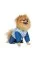 Костюм Pet Fashion Tender для девочек, размер XS2, синий