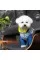 Костюм Pet Fashion Tender для девочек, размер XS2, синий