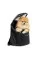 Сумка-переноска Pet Fashion Quadra для собак, 38х32х26 см