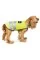 Жилет для собак Pet Fashion «Yellow Vest» XS