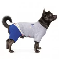 Костюм для собак Pet Fashion «Орион» XXS
